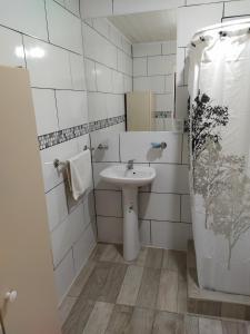 un bagno con lavandino e doccia di La Guarida a Pergamino