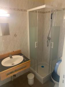 a bathroom with a sink and a shower at Le Trianon in Hesdin
