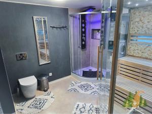 a bathroom with a shower and a toilet at Klein Waldseele in Warmensteinach