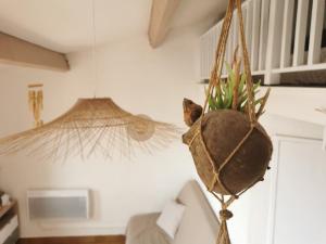 Un jarrón con plantas colgando en una habitación en Studio mezzanine proche du Marché de Noël - vue sur le Canigou, aire de jeux d'enfants, parking, en Le Barcarès 19 fotos más