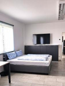 Un dormitorio con una cama y un televisor de pantalla plana. en MY HOME Zittauer Straße 10, en Villingen-Schwenningen
