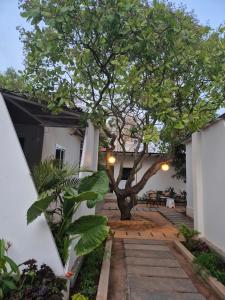 Aed väljaspool majutusasutust Zomad Hostels