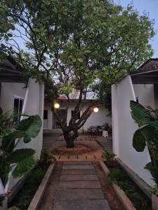 Aed väljaspool majutusasutust Zomad Hostels