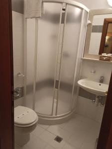 a bathroom with a shower and a toilet and a sink at Hotel Villa Malpensa in Vizzola Ticino