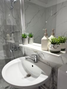 a white sink in a bathroom with plants on a shelf at Studio Parc Romanescu in Craiova
