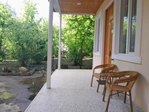 Zahrada ubytování BaBa guesthouse + 37 fotografií
