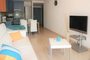 TV a/nebo společenská místnost v ubytování Precioso apartamento para 6 personas AV-74
