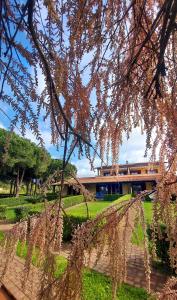 A garden outside Lido Azzurro Residence rta