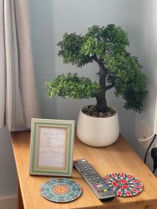 a bonsai tree sitting on a table next to a remote control at Cartway Apartment in Bridgnorth