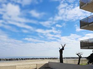 two trees on a beach with a cloudy sky at SE152 - Senigallia, delizioso trilocale fronte mare in Senigallia