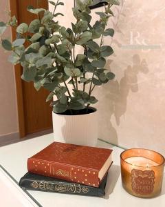 a plant in a vase next to two books and a candle at Riad Salam Apartment Comfort in Branes