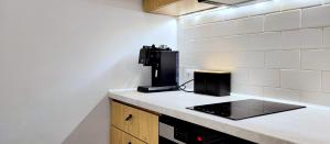Kuchyňa alebo kuchynka v ubytovaní Kana - Stylish Apartment in Kraków Pomorska - Close, WiFi, Smart TV