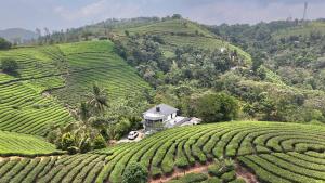 Fotografie z fotogalerie ubytování Tea Harmony Bunglow v destinaci Vagamon