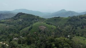 Fotografie z fotogalerie ubytování Tea Harmony Bunglow v destinaci Vagamon
