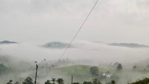 Fotografie z fotogalerie ubytování Tea Harmony Bunglow v destinaci Vagamon