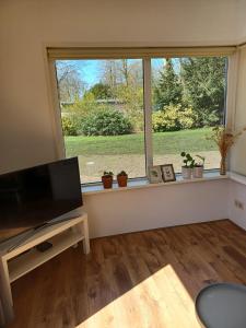un soggiorno con una grande finestra con piante in vaso di Bungalow net buiten Zuidwolde a Zuidwolde