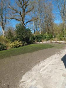 Giardino di Bungalow net buiten Zuidwolde