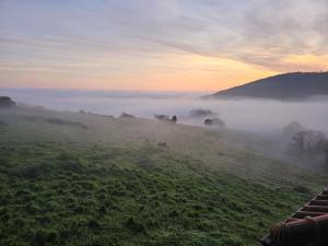 a view of a field with fog in the field at El Campillo in Cudillero