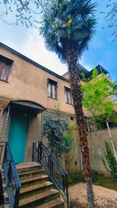 una palma davanti a un edificio di Long Tree Hostel - Comfy Mattress a Tbilisi City