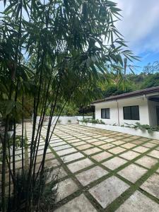 a tree in front of a house at Villa del Sol 1 Barkada Rooms in Guinauayan