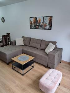 Χώρος καθιστικού στο Apartman Miletic