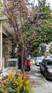 Zahrada ubytování Άνετο ισόγειο διαμέρισμα με αυλή