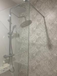 a shower with a glass door in a bathroom at Apartamento en Xinzo de Limia in Xinzo de Limia