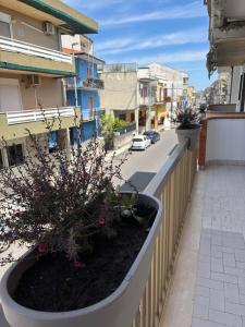 Il quartiere o una zona nella vicinanze dell'appartamento