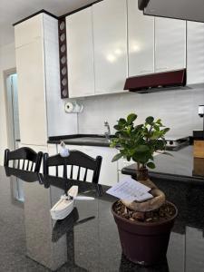 Cucina o angolo cottura di STELLA MARINA Apartment