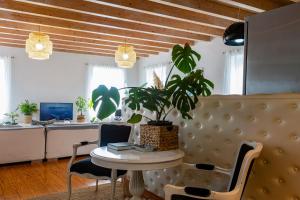 a table with a potted plant in a room at Artist Loft in Corfu