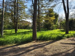 Gallery image of Villa Pulcinella in Spoleto