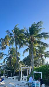 a group of palm trees and chairs on a beach at Bavaro Punta Cana Beach pool ducassi sol caribe Los corales in Punta Cana +2 photos