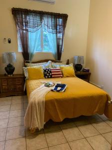 a bedroom with a yellow bed with an american flag on it at Kingmosei Hide away in Basse Terre Town