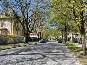 a tree lined street with cars parked on the sides at Exklusives City Studio in Neuhausen - stilvoll wohnen nahe Schloss Nymphenburg in Munich