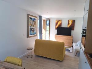 TV a/nebo společenská místnost v ubytování Alpine ski apartment - Petit Châtel