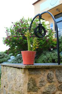 a plant in a pot sitting on a stone wall at O Refuxio de la Jerezana in Redondela