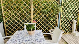 a table and chairs with a potted plant on a patio at The Dream in Massa Lubrense