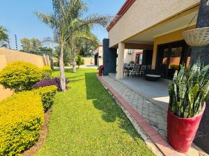 a porch of a house with a plant in the yard at Dulelo Guest House Gaborone in Gaborone
