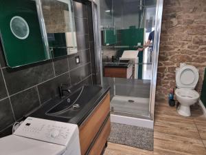 a small bathroom with a sink and a toilet at L'apaisant in Rodez