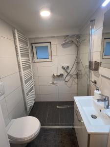 a bathroom with a shower and a toilet and a sink at Zentrales & ruhiges Appartment in Schwäbisch Hall +11 photos