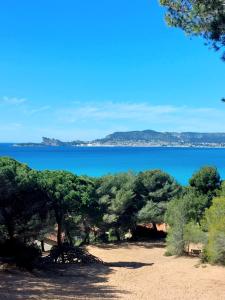 Appartement Les Lavandes, T2 avec terrasse في ليه ليكيه: اطلاله على تجمع مياه بالاشجار