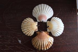 three peeled shells sitting on top of a table at O Refuxio de la Jerezana in Redondela