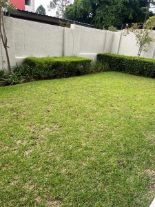 a yard with green grass and a fence at ventura 250 in Sandton