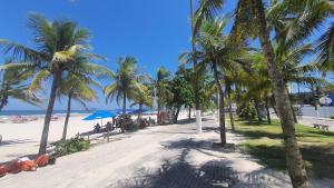 Naturlandskabet i nærheden af lejligheden
