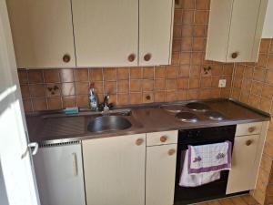 a small kitchen with a sink and a stove at Apartment in Basel Eurovision! in Basel +5 photos