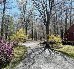 un chemin de terre à côté d'une grange rouge avec des arbres et des fleurs dans l'établissement Private, Quiet Vermont Studio With Mountain Views, à Guilford