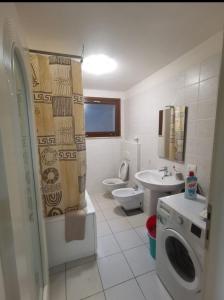 クアルトゥ・サンテーレナにあるPorzione di villetta a Capitanaのバスルーム(トイレ、洗濯機付)