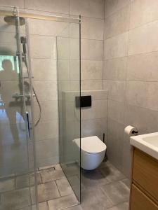 a bathroom with a toilet and a glass shower at LoveLas - Apartamenty in Smerek +72 photos