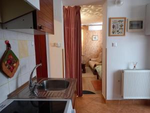 Kuchyň nebo kuchyňský kout v ubytování Apartmaji Boka
