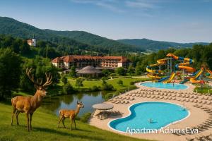 Πισίνα στο ή κοντά στο Apartment Adam & Eva, Near Aqualuna, Free Parking
